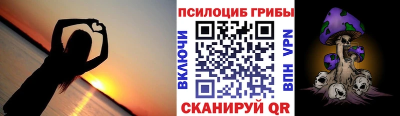 Купить закладки  Ленинск-Кузнецкий  Галлюциногенные грибы GOLDEN TEACHER 